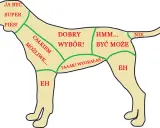 Mapa pokazuje, gdzie głaskać psa: "Super pies!" na głowie, "Dobry wybór!" na bokach, "Całkiem możliwe..." na łapach.