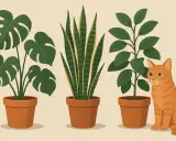 Trzy rośliny doniczkowe i rudy kot. Czy aglaonema jest trująca? Nie w tej ilustracji, kot jest bezpieczny.