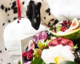 Dalmatyńczyk wącha owocową ucztę z jogurtem. Czy pies może jeść jogurt naturalny?