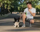 Trener z gwizdkiem dla psa w parku, ćwiczący ze swoim czarnym i białym psem rasy Border Collie.