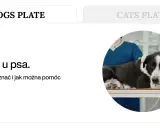 Pies z objawami refluksu leży na stole weterynaryjnym. Tekst informuje o refluksie u psa i sposobach pomocy dietą.