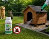 Skuteczne domowe sposoby na kleszcze u psa: oprysk budy i trawnika preparatem Insect Blocker. Pies i kot obserwują z bezpiecznej odległości.