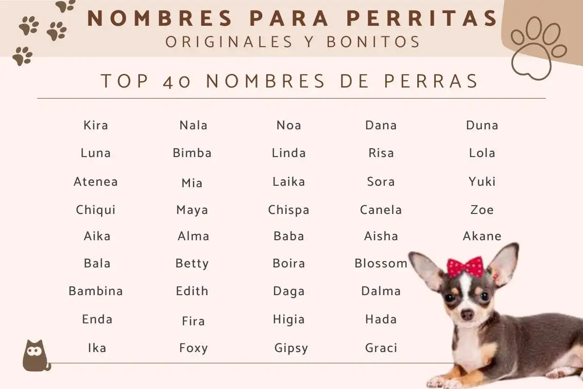 Lista